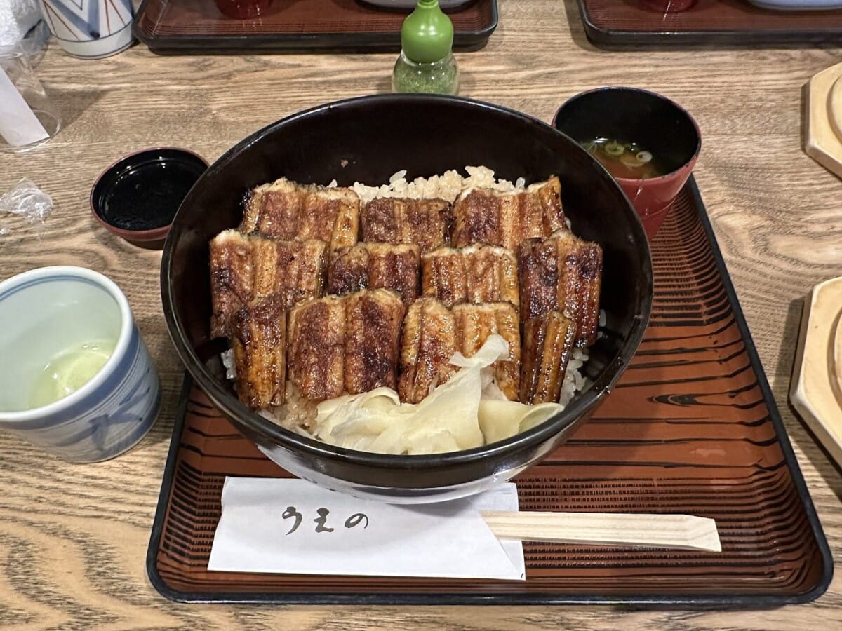 밥 위에 올린 바닷장어(붕장어·아나고) 덮밥
