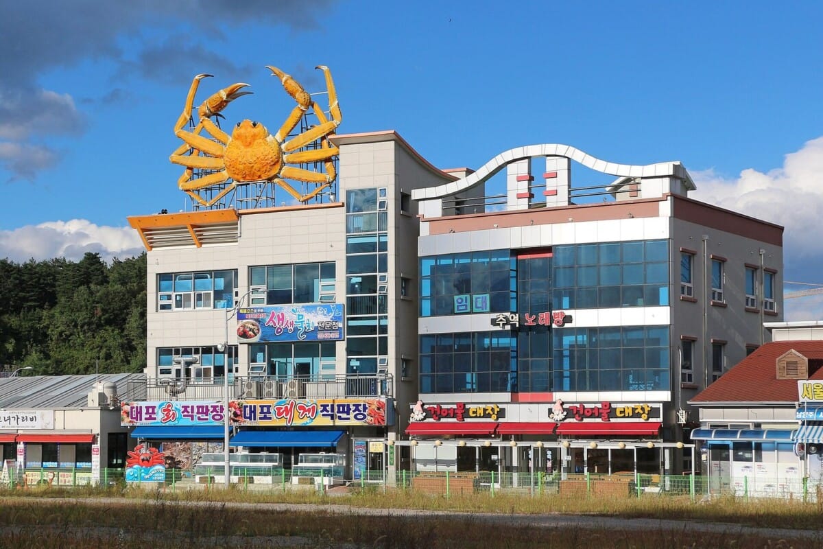 물회 전문점 간판이 걸린 속초 대포항 상가 거리