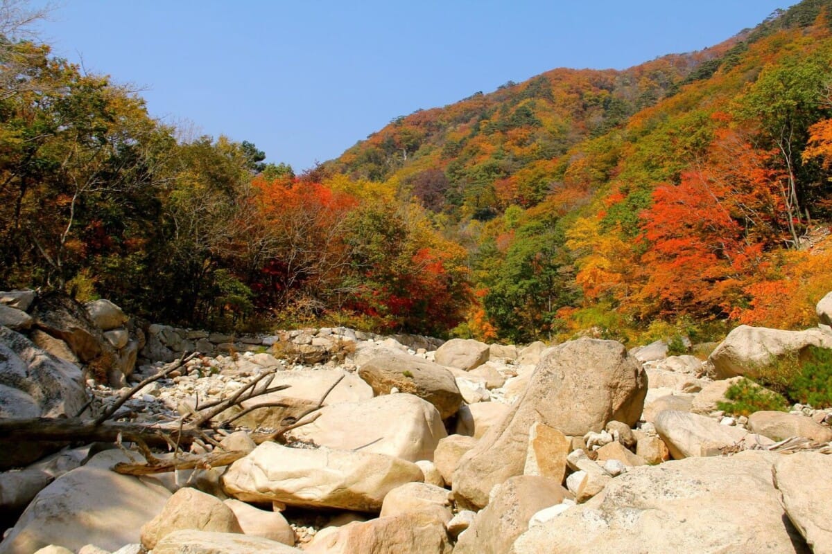 가을 단풍이 물든 설악산 계곡, 2026 하반기 연휴 가을 여행