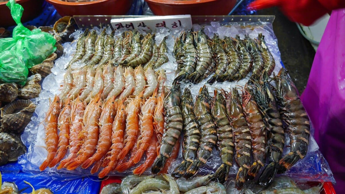얼음 위에 진열된 대하 등 가을 제철 새우류