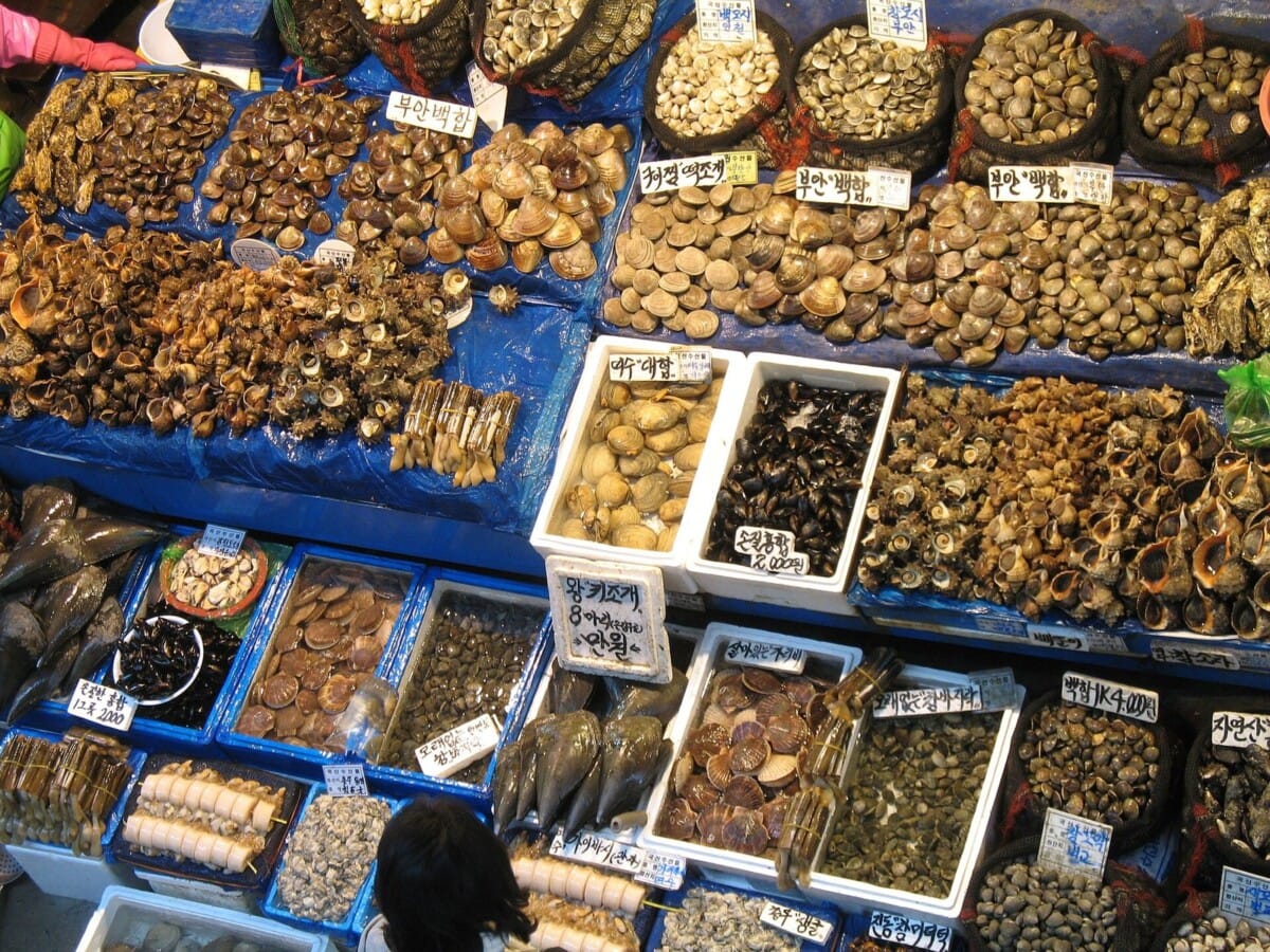 서울 노량진 수산시장의 조개류와 제철 수산물 판매 좌판