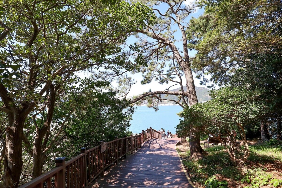 여수 오동도 해안 산책로와 동백숲 그늘