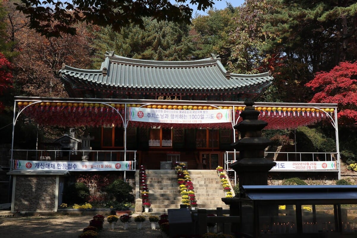 붉은 단풍과 국화 화분이 놓인 가을 산사 법당 앞 풍경