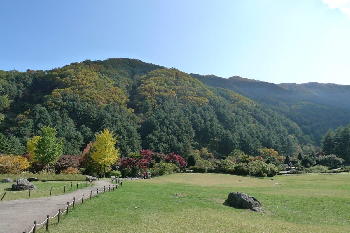 가을 수목원 여행 명소인 가평 아침고요수목원의 단풍 든 정원과 잔디밭 전경