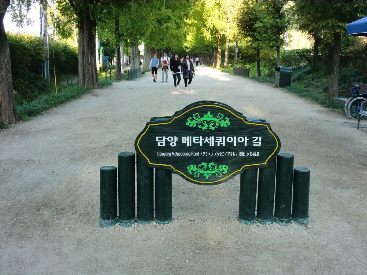 담양 가을 여행 명소인 담양 메타세쿼이아길 입구 표지와 가로수 터널