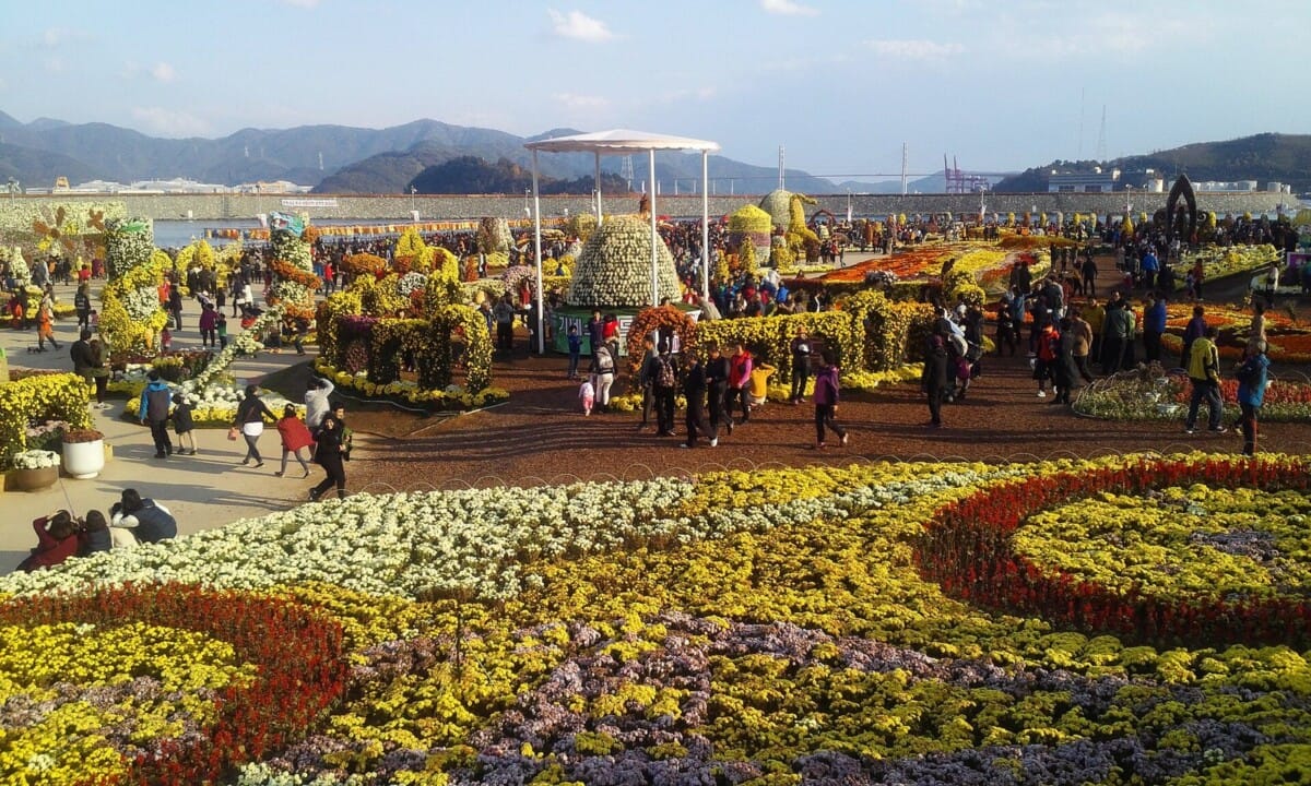 가을 국화축제 축제장에 조성된 국화 화단과 대형 국화 조형물, 뒤로 바다와 산이 보이는 전경