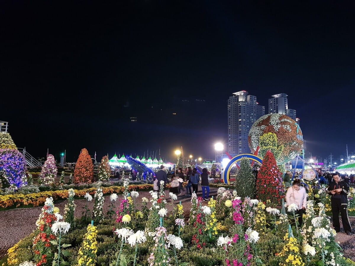 조명이 켜진 밤 국화축제장에서 국화 조형물과 관람객이 보이는 야간 풍경