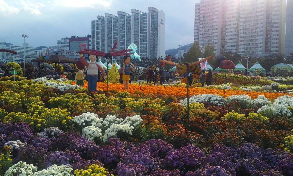 노랑·주황·보라 국화 화단과 국화 조형물이 늘어선 국화축제 행사장