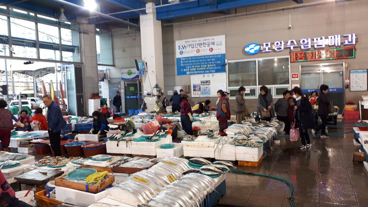 포항 죽도어시장 내부 수산물 판매대 전경
