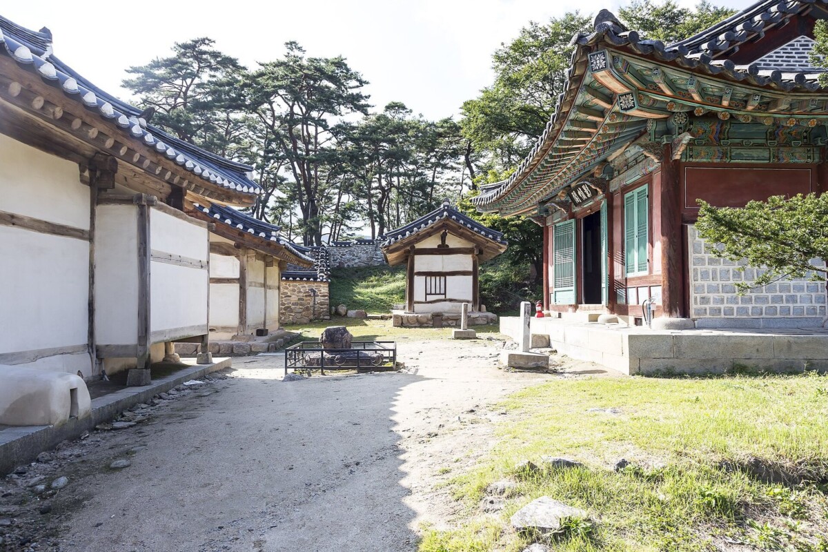 유네스코 세계유산 영주 소수서원 경내와 학자수림 소나무